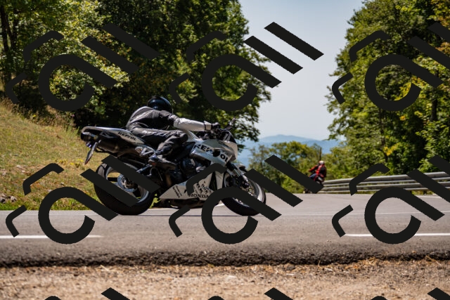 202508091310-_DSC1989_d2_