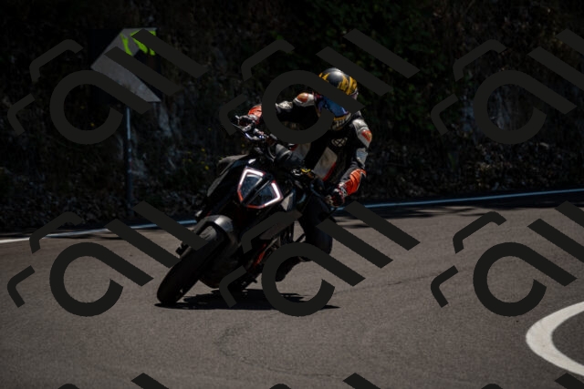 202508091311-_DSC1991_d2_