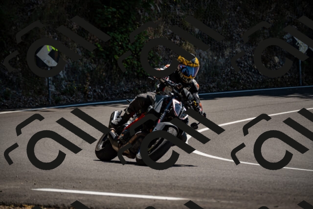 202508091311-_DSC1992_d2_