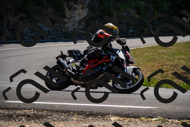 202508091311-_DSC1994_d2_