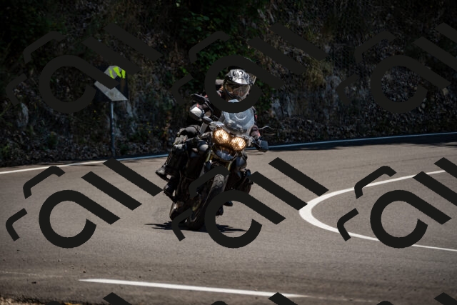 202508091315-_DSC1996_d2_