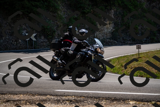 202508091315-_DSC1997_d2_