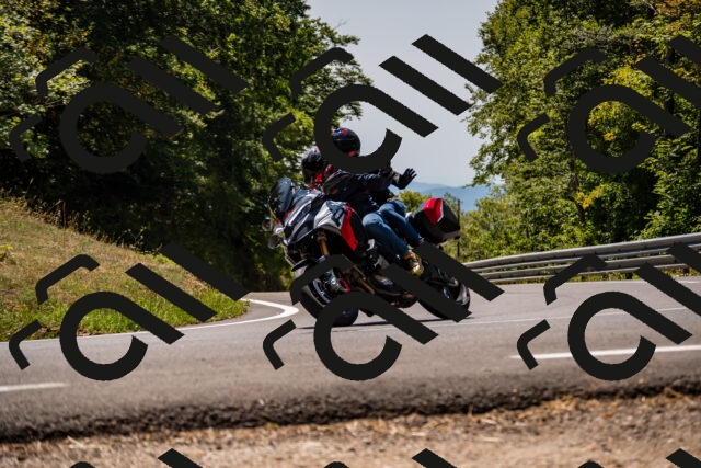 202508091319-_DSC1999_d2_