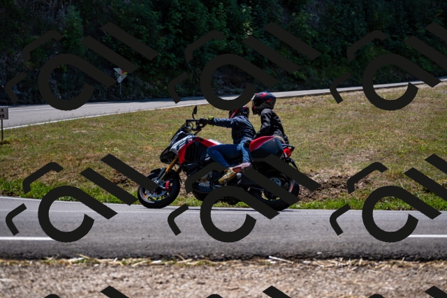 202508091319-_DSC2003_d2_