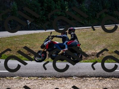 202508091319-_DSC2003_d2_