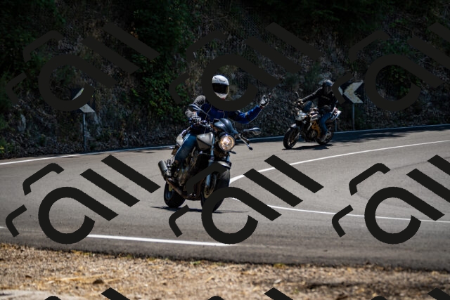 202508091319-_DSC2004_d2_