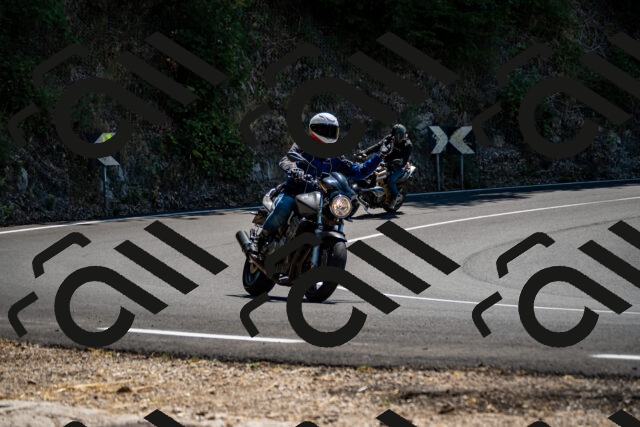 202508091319-_DSC2005_d2_