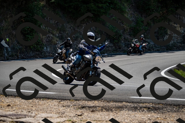 202508091319-_DSC2006_d2_