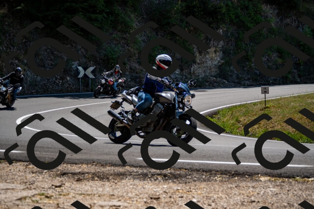 202508091319-_DSC2008_d2_