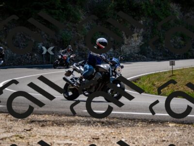 202508091319-_DSC2008_d2_