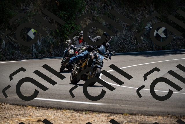 202508091319-_DSC2009_d2_