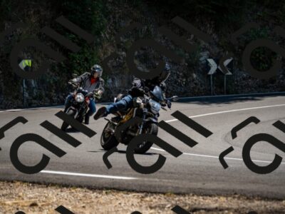 202508091319-_DSC2010_d2_