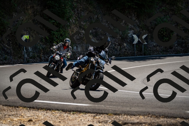 202508091319-_DSC2010_d2_