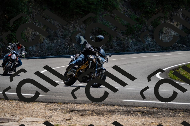 202508091319-_DSC2011_d2_