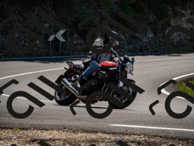 202508091319-_DSC2013_d2_