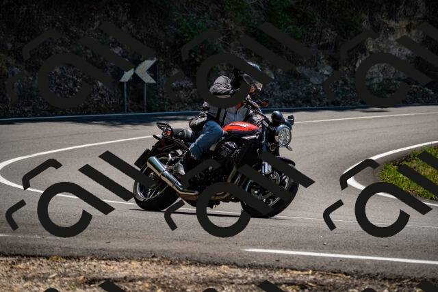 202508091319-_DSC2013_d2_