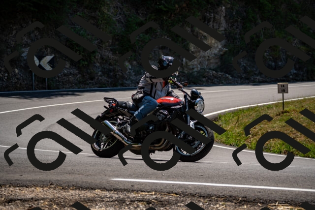 202508091319-_DSC2014_d2_