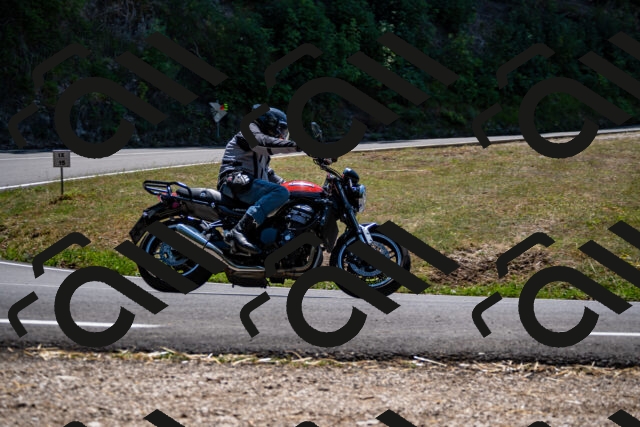 202508091319-_DSC2015_d2_