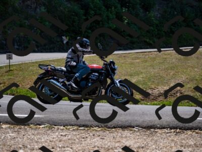 202508091319-_DSC2015_d2_