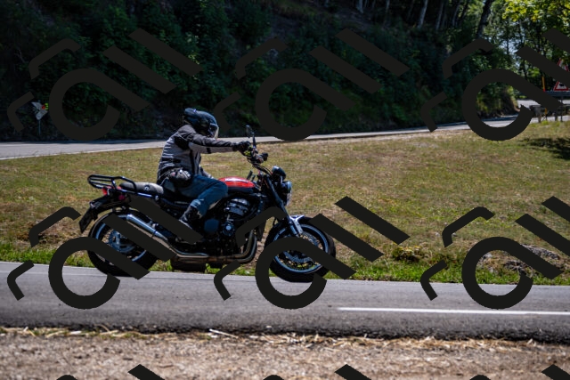 202508091319-_DSC2016_d2_