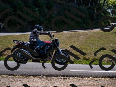 202508091319-_DSC2016_d2_