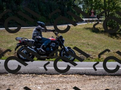 202508091319-_DSC2017_d2_