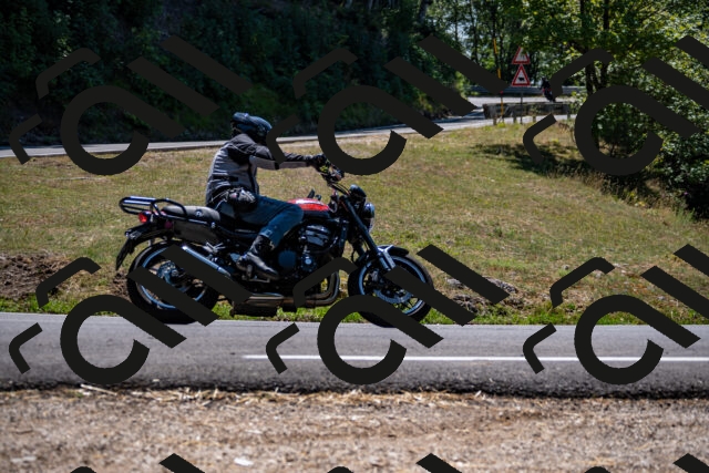 202508091319-_DSC2017_d2_