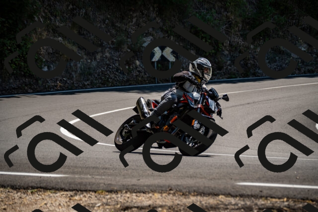 202508091320-_DSC2026_d2_