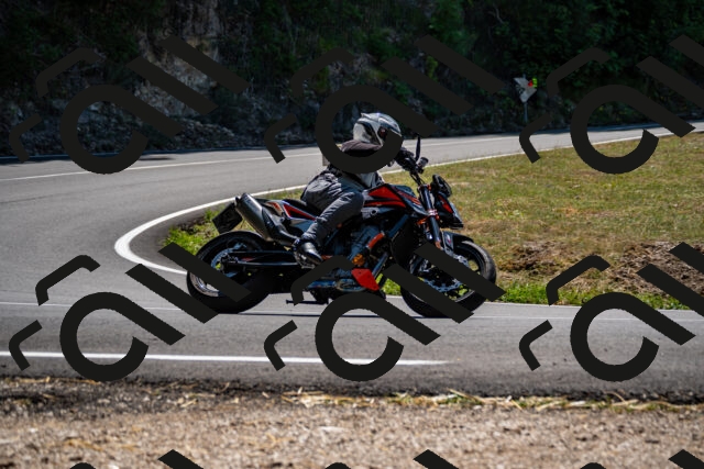 202508091320-_DSC2027_d2_