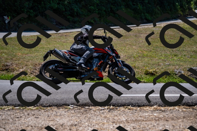 202508091320-_DSC2028_d2_