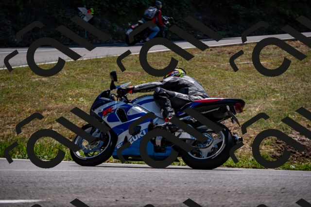 202508091327-_DSC2066_d2_