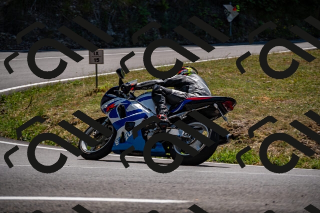 202508091327-_DSC2068_d2_