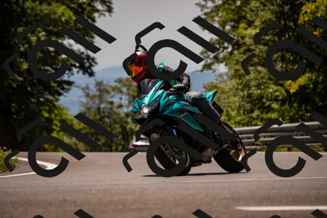 202508091327-_DSC2069_d2_