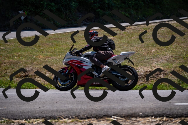 202508091328-_DSC2074_d2_