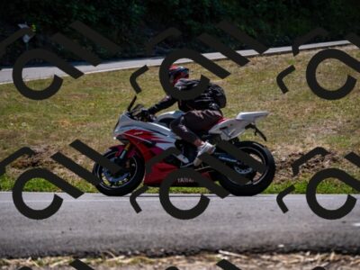 202508091328-_DSC2074_d2_