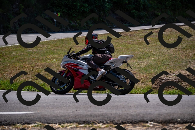 202508091328-_DSC2075_d2_