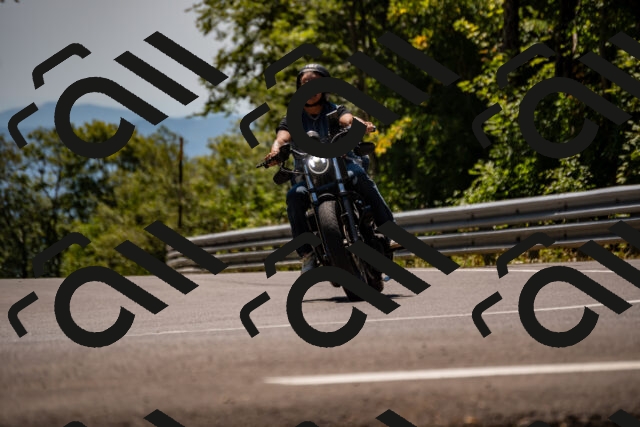 202508091333-_DSC2076_d2_