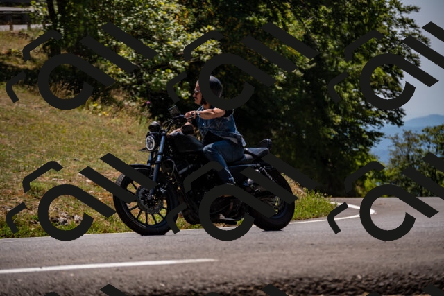 202508091333-_DSC2078_d2_