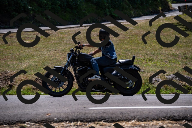 202508091333-_DSC2079_d2_