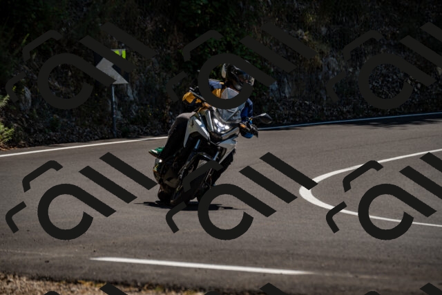 202508091335-_DSC2080_d2_