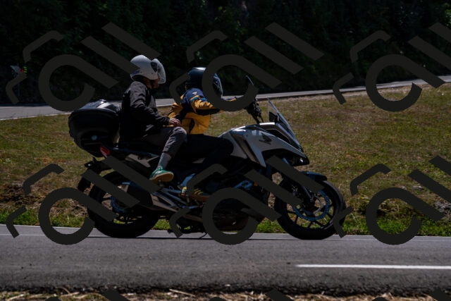 202508091335-_DSC2081_d2_