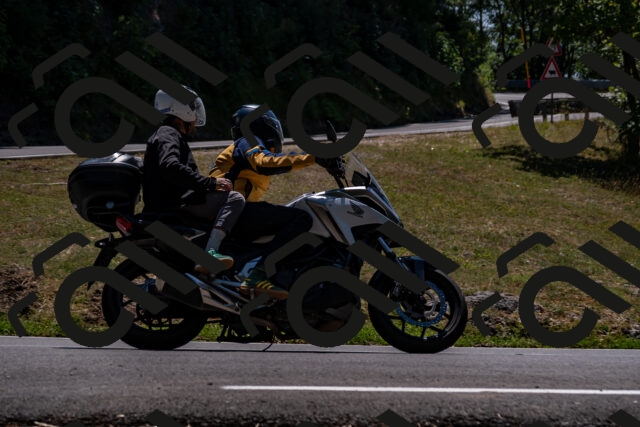 202508091335-_DSC2082_d2_