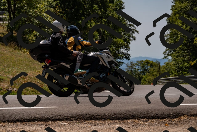 202508091335-_DSC2083_d2_