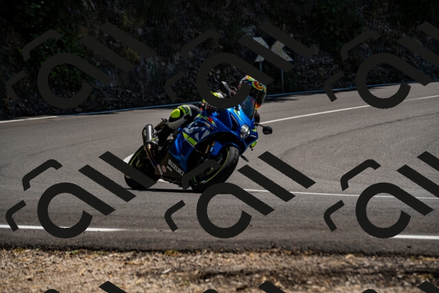 202508091338-_DSC2086_d2_