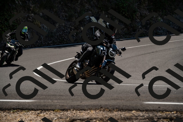 202508091341-_DSC2097_d2_