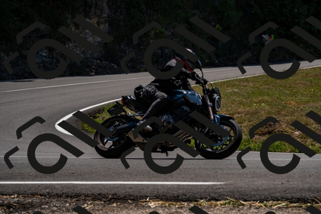 202508091341-_DSC2099_d2_