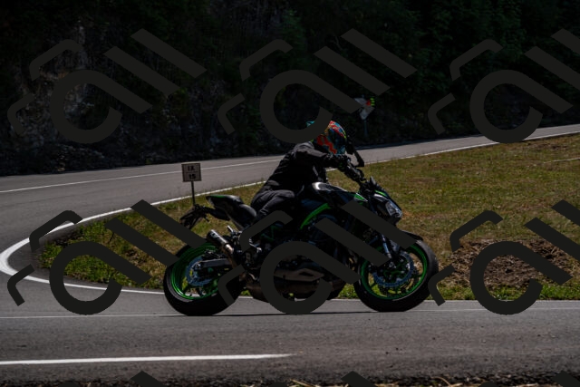 202508091341-_DSC2101_d2_