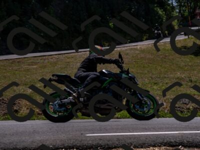 202508091341-_DSC2102_d2_