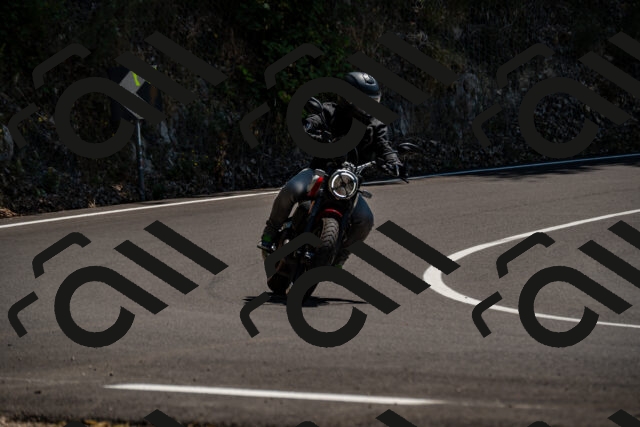 202508091341-_DSC2103_d2_