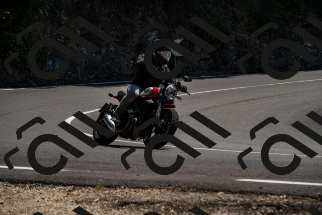 202508091341-_DSC2104_d2_